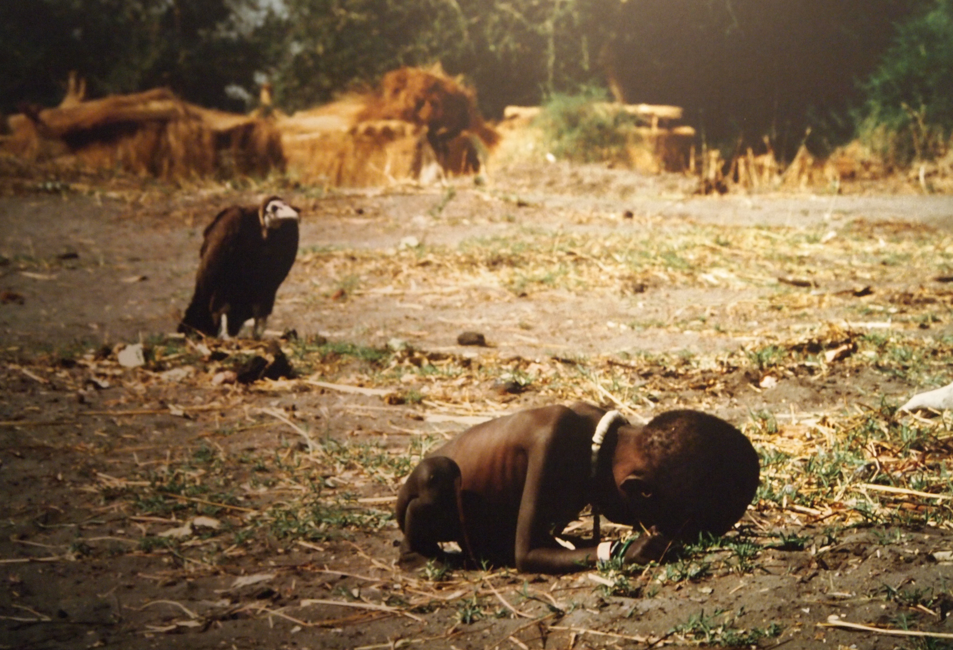 Issues: Revisiting Empathy and Kevin Carter Tragedy, By Kelechi Okoronkwo