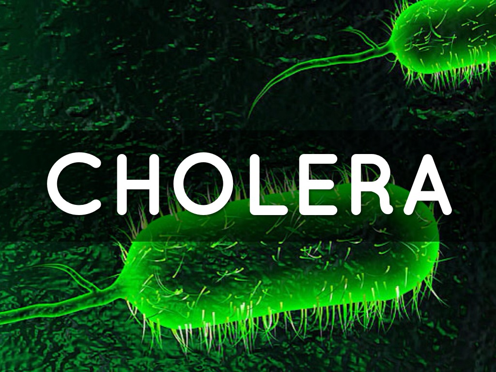 Nigeria identifies Cholera ‘hotspots’ as rain begins