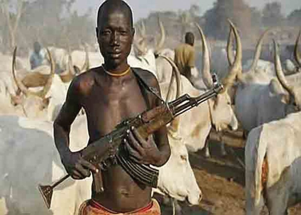 How Turkey, Libya, Ivory Coast Supply Arms to Fulani herdsmen—Report