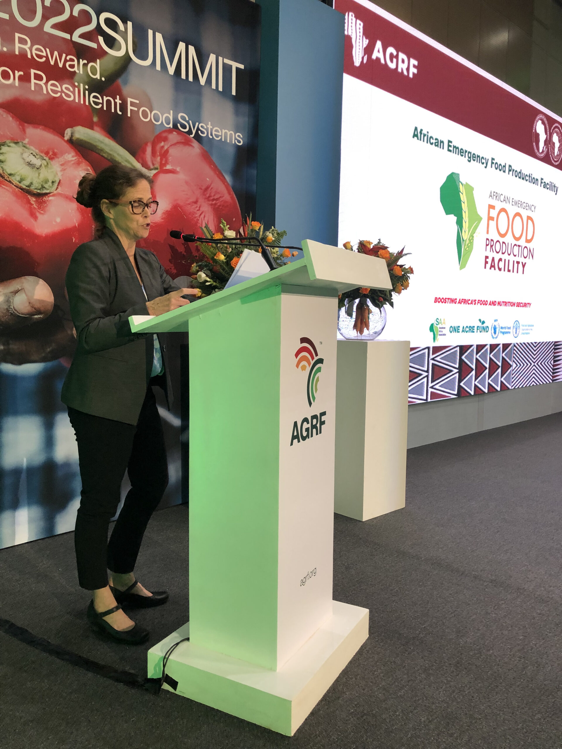 AfDB sponsors 2022 African Green Revolution Forum with $100,000