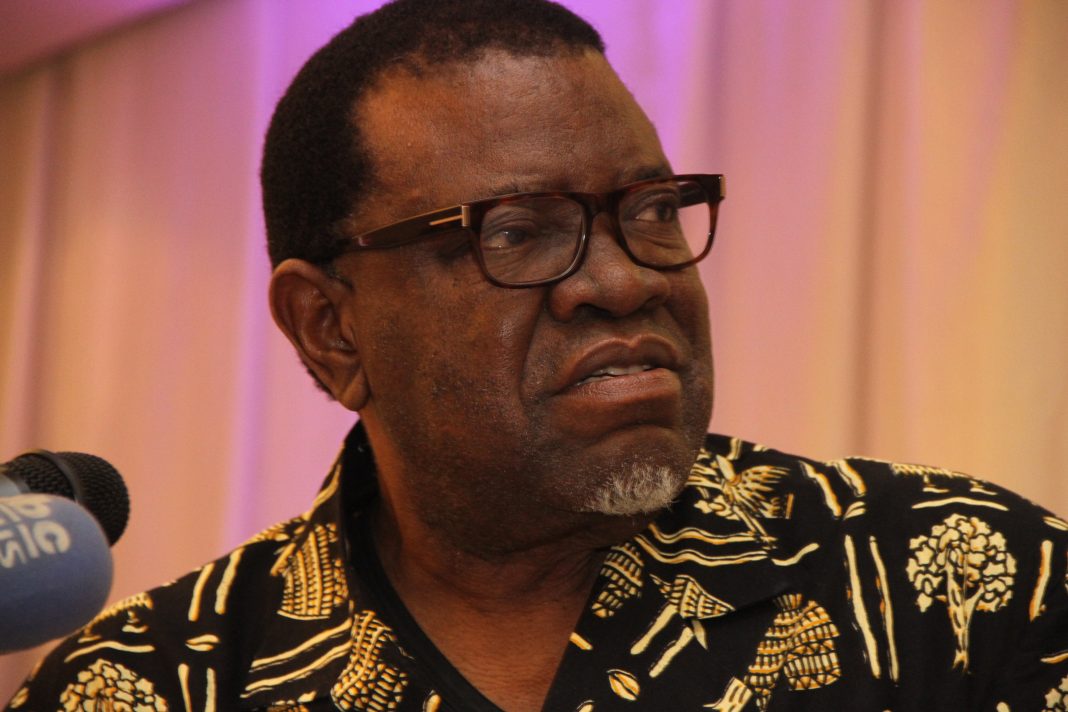 ‘President Geingob Does Not Need Lectures from Hopwood’s IPPR’