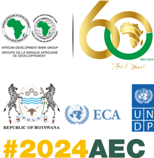 Registration Opens for the 2024 African Economic Conference